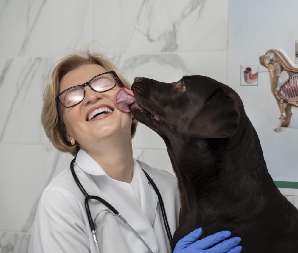 close-up-dog-licking-doctor